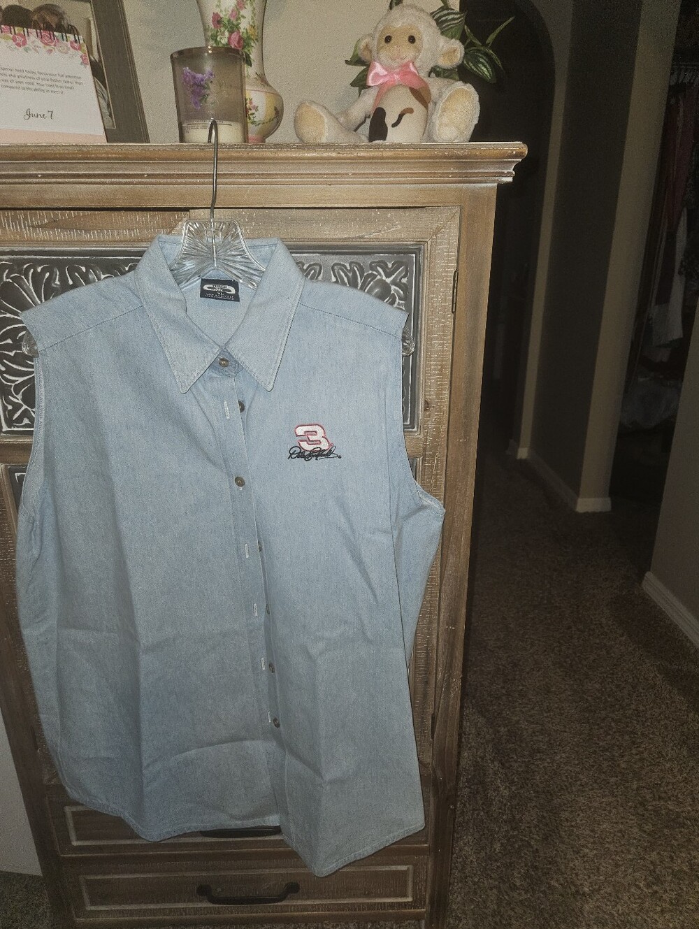 DALE EARNHARDT, HAVE A LITTLE BIT OF HISTORYWomen's Sky Blue Button Down Shirt